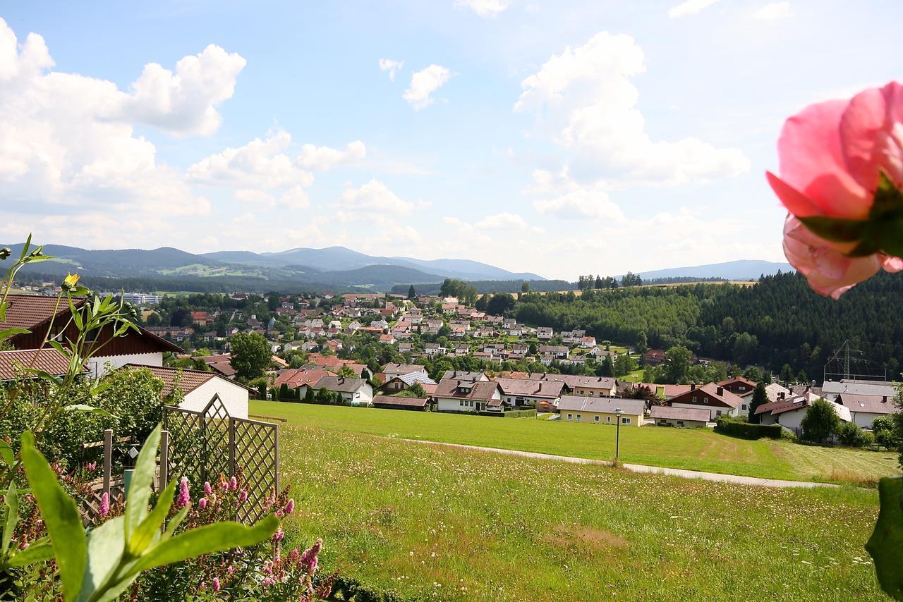 Ferienhaus Und Ferienwohnungen Holzapfel Geiersthal Exterior photo